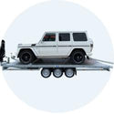 Autotransporters