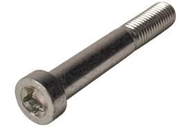 AL-KO Torxbout - M8x97 mm - geschikt voor de AL-KO AKS2004
