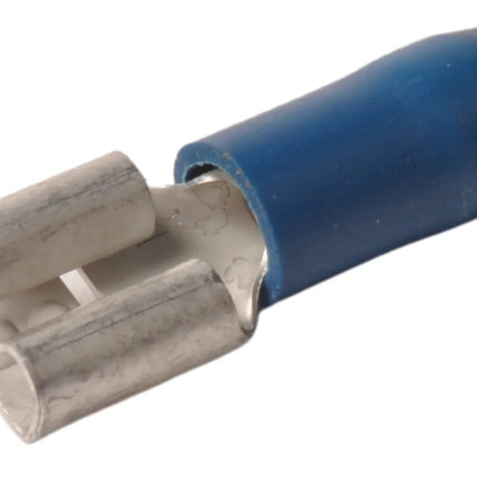 Cantonal AMP stekker 6,3x0,8 vrouwtje (10 stuks)