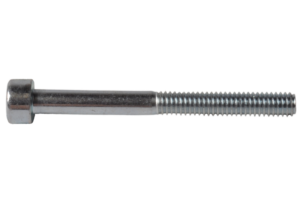 Cantonal Binnenzeskantschroef M4x40 mm