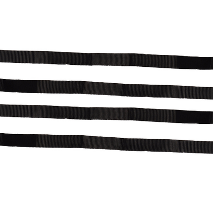 Cantonal Set van 4 sjorbanden / bindriemen 40x1,8cm - zwart - voor fietsdrager