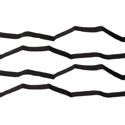 Cantonal Set van 4 sjorbanden / bindriemen 40x1,8cm - zwart - voor fietsdrager