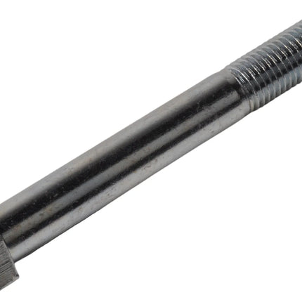 Cantonal Zeskantbout M20 x 160 mm